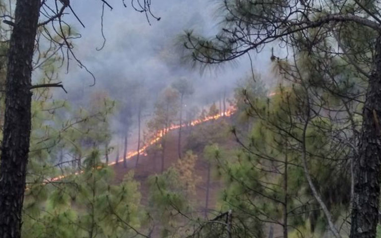 Uttarakhand records 62 wildfires in five days