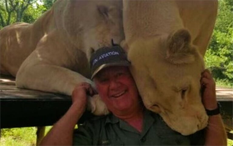 Lion kills South African conservationist West Mathewson