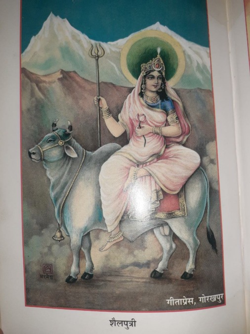 Navratri 2020 day one: All you need to do about worshipping Maa Shailputri, Kalash sthapan