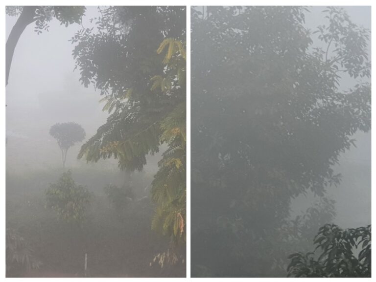 Ban on construction, plying of BSIII-BSIV vehicles amid dense fog, pollution in NCR